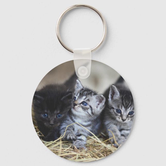 Kittens, Pet, Felines Keychain (Front)