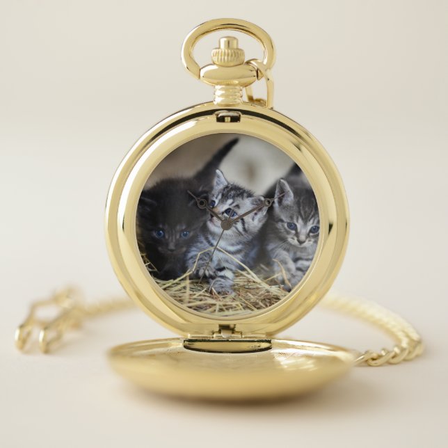 Kittens, Pet, Felines Pocket Watch (Inside)