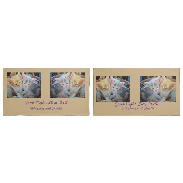  Kittens Photo Quote  Pillow Case (Front-Set)