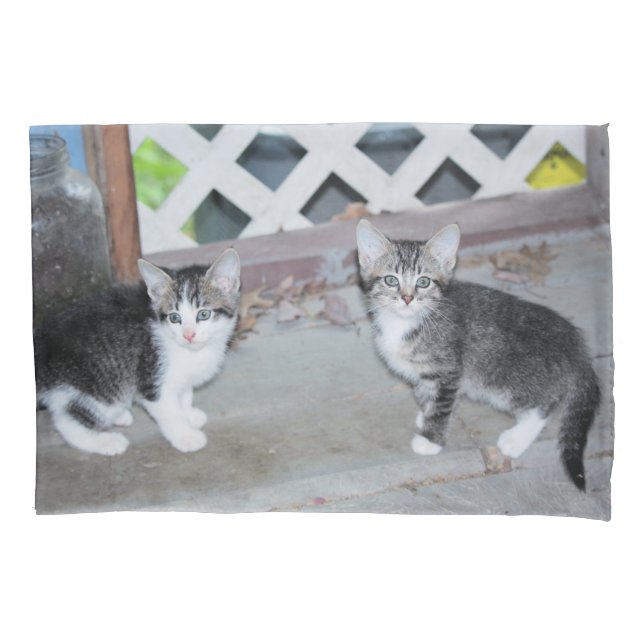 Kittens Pillow Case (Front)