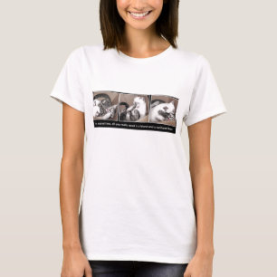 Kittens playing in a box T-Shirt
