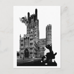 Kittens playing on Ely Cathedral Postcard