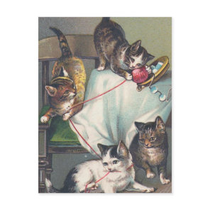 "Kittens Playing with Knitting Wool" Postcard