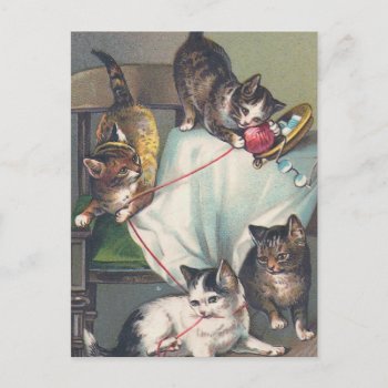 "kittens Playing With Knitting Wool" Postcard by PrimeVintage at Zazzle