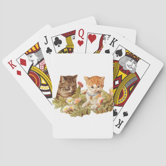 Kittens Poker Cards (Back)