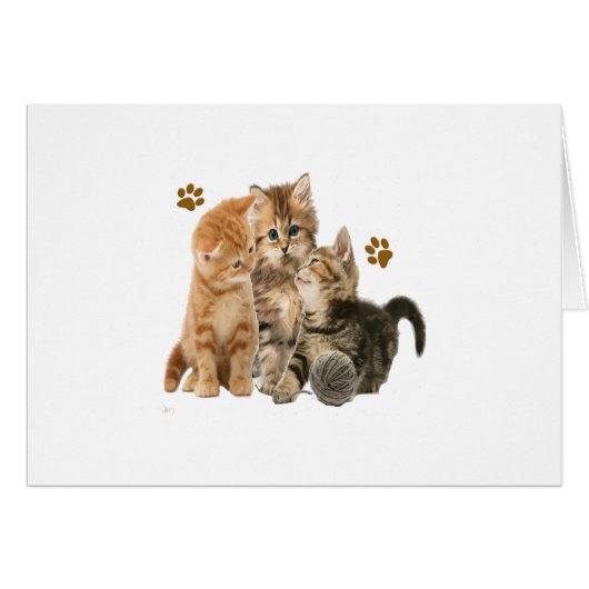 Kittens products (Front Horizontal)