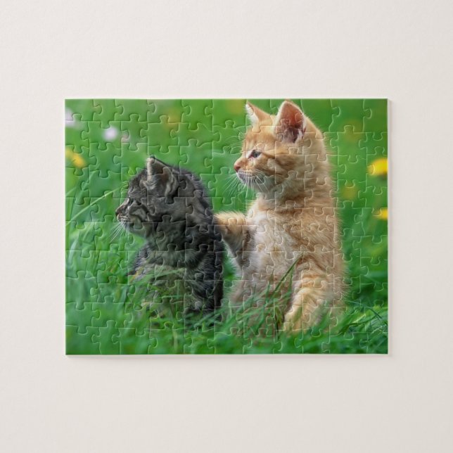 Kittens Puzzle (Horizontal)