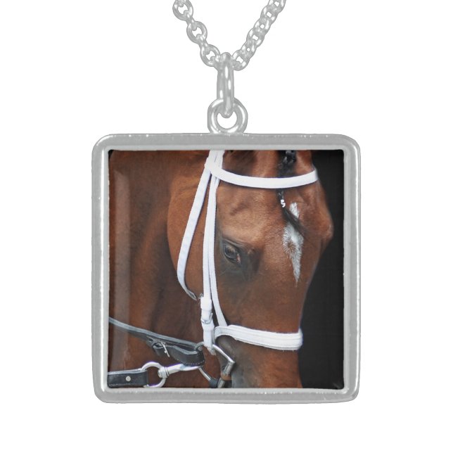 Kitten's Queen by Kitten's Joy Sterling Silver Necklace (Front)