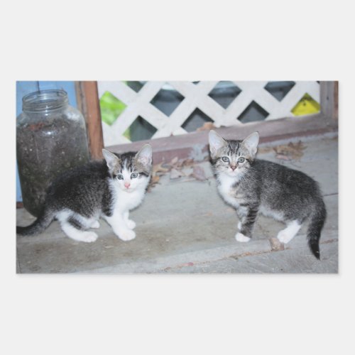 Kittens Rectangular Sticker
