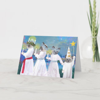 Kittens' Santa Lucia Procession Holiday Card