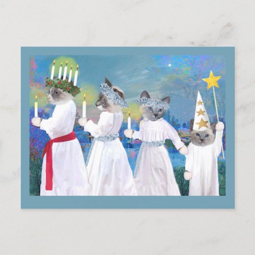 Kittens Santa Lucia Procession Postcard