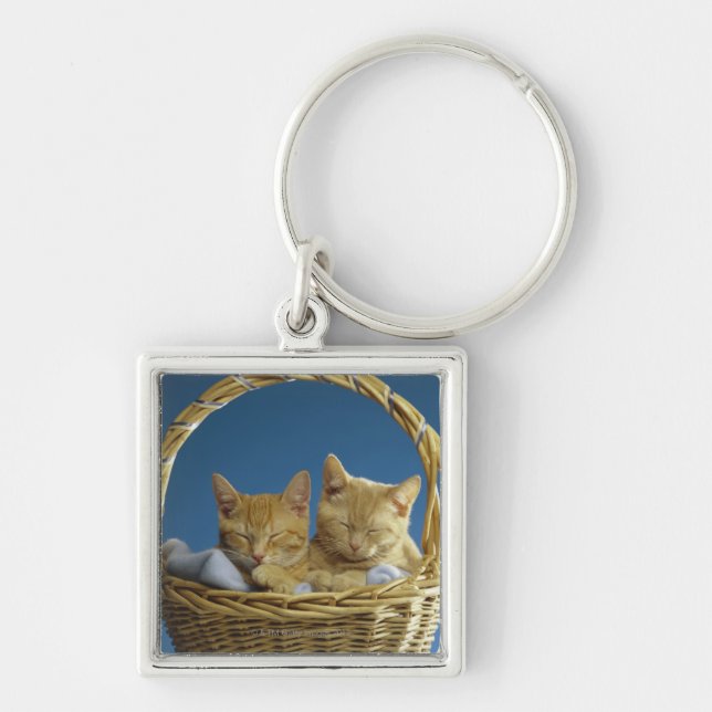 Kittens sleeping in basket keychain (Front)