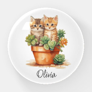Kittens Succulents Terracotta Planter Monogram Paperweight