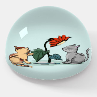 Kittens Summer Delight Seafoam Green Paperweight