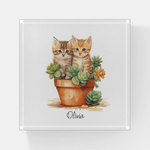 Kittens Terracotta Pot Succulents Monogram Paperweight