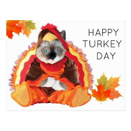 Kittens Thanksgiving Turkey Day Postcard