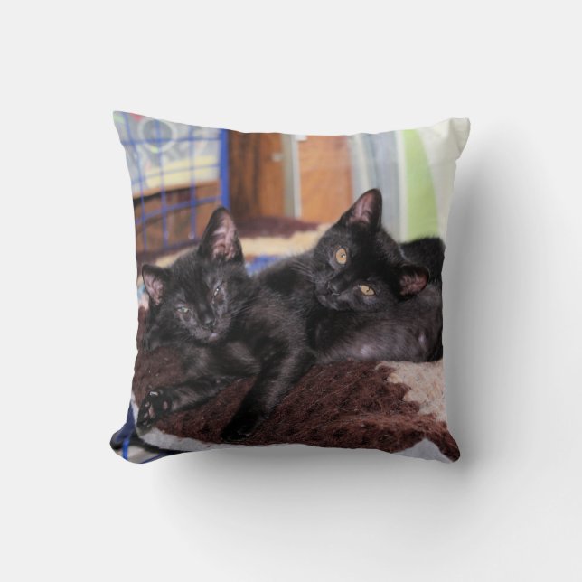 Kittens Throw Pillow (Front)