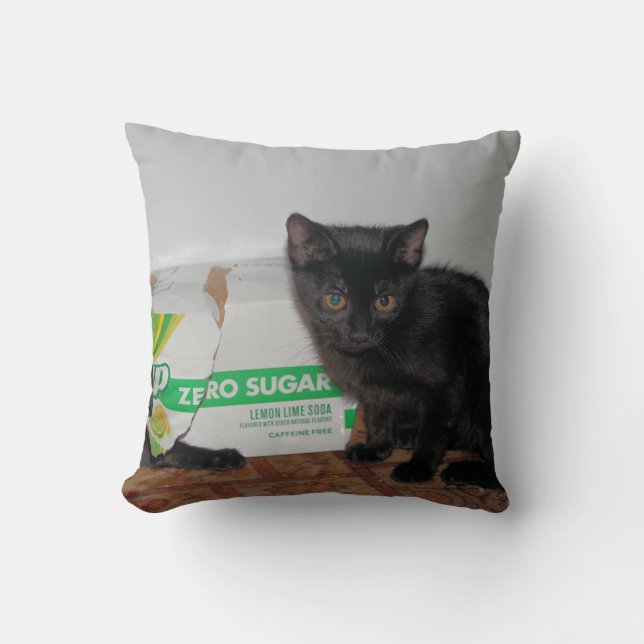 Kittens Throw Pillow (Front)