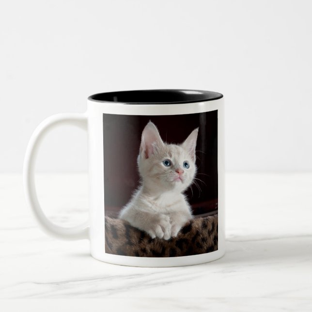 kittens Two-Tone coffee mug (Left)