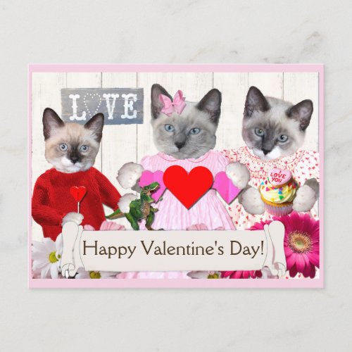 Kittens Valentines Day Postcard