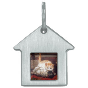 KITTENS Waking up Pet ID Tag