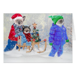 Kittens Winter Wonderland Greeting Card