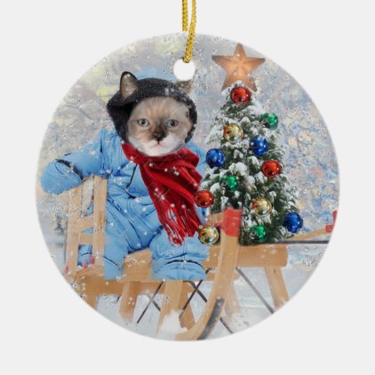 Kittens&#39; Winter Wonderland Personalized Ornament