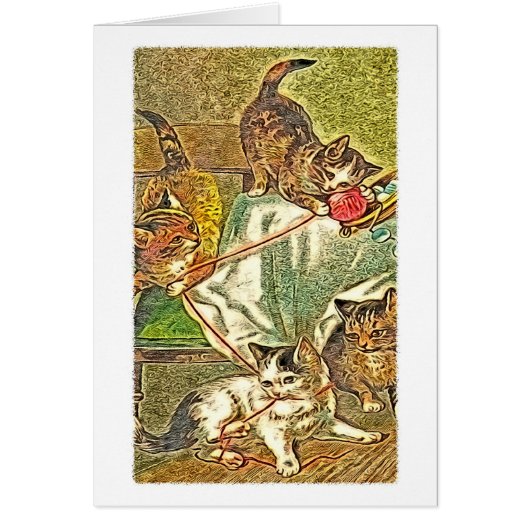 Kitties Cards (Front)
