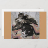 Kitties chair share (Front/Back)