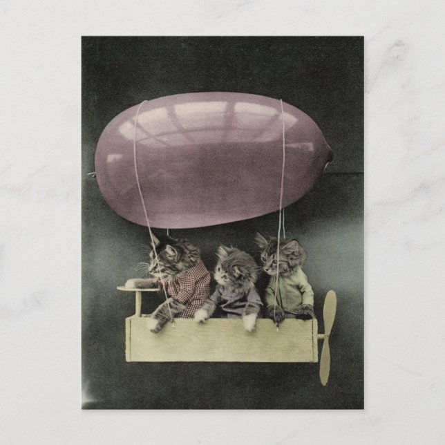 Kitties Zepplin Ride Postcard (Front)
