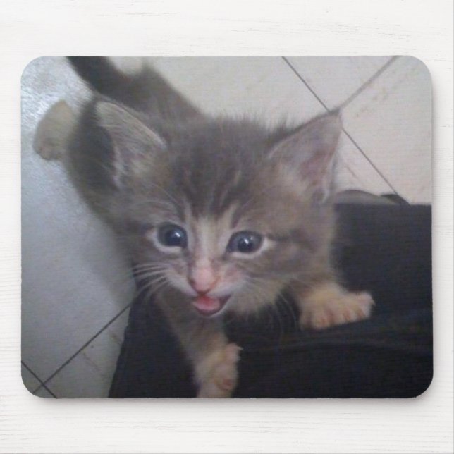 kittty mouse pad (Front)