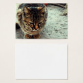 Kitty (Front & Back)