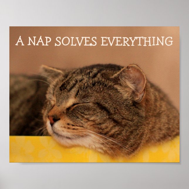 Kitty Advice Inspirational Poster (Front)