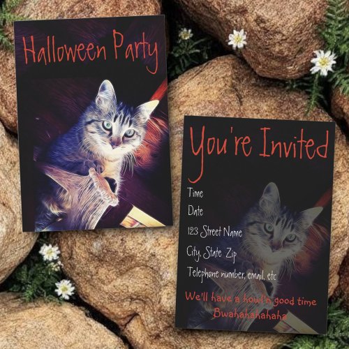 Kitty Aglow Close Up Photograph Invitation