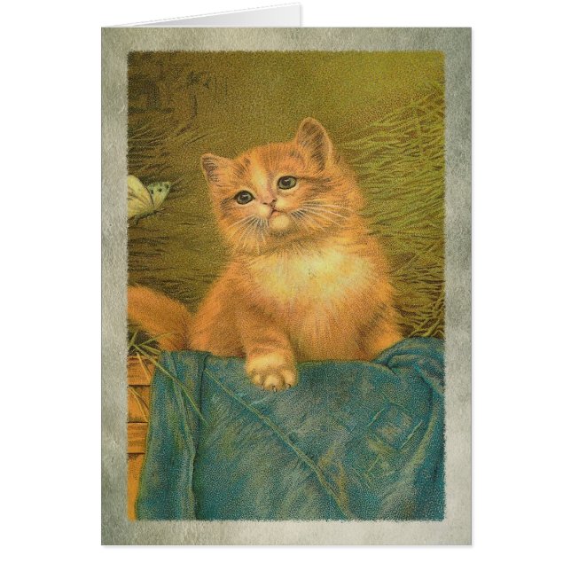 Kitty and Butterfly Cards (Front)