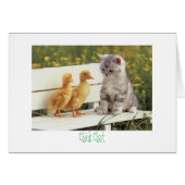 kitty and ducks Chick Chat (Front Horizontal)