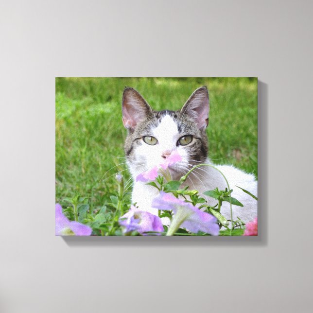 Kitty and Pink Petunias Canvas Print (Front)