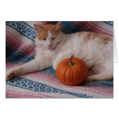 Kitty and Pumpkin (Front Horizontal)