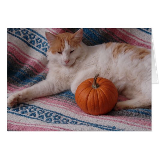 Kitty and Pumpkin Cards (Front Horizontal)