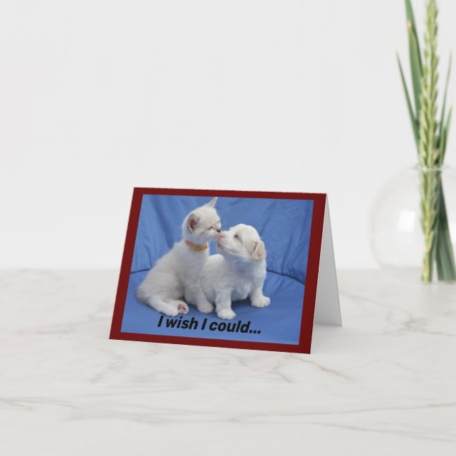Kitty And Puppy Get Well Card (Front)