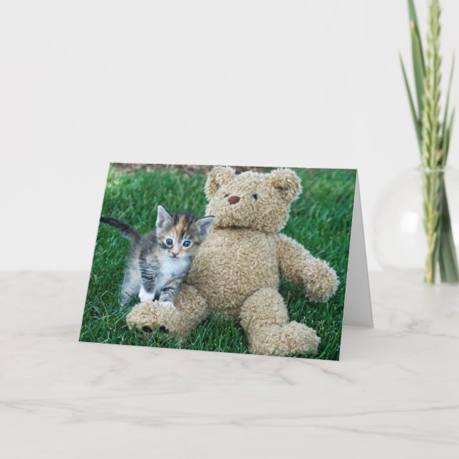 Kitty and Teddy Bear Birthday Card (Front)
