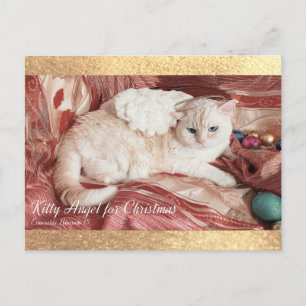 Kitty Angel for Chrismas Announcement Postcard
