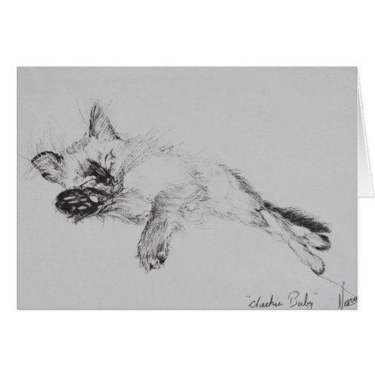 Kitty 'Baby' Cards (Front Horizontal)