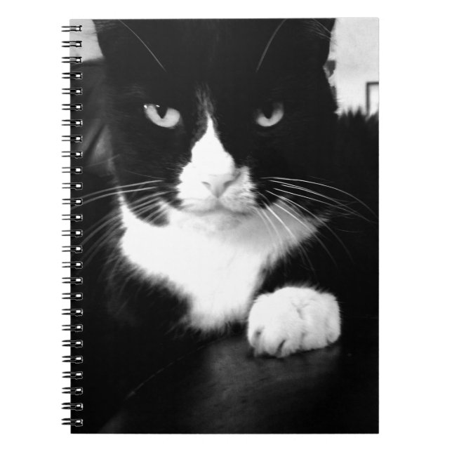 Kitty Bad Attitude - Impress Me - Notebook (Front)