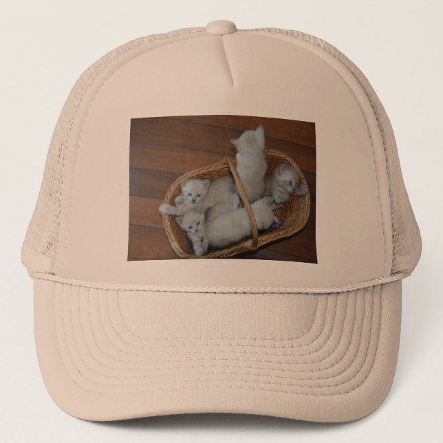 Kitty Ball Cap  (Front)