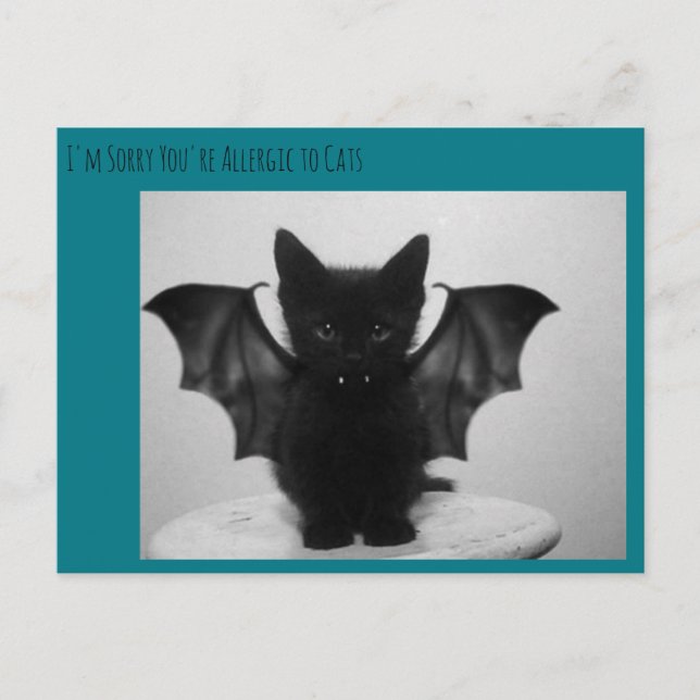 kitty bat postcard (Front)
