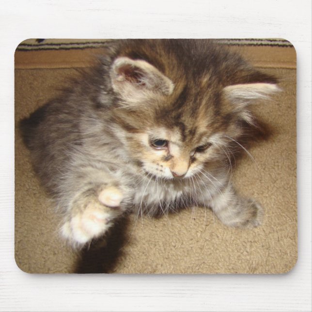 Kitty batting at the mouse mouse pad (Front)