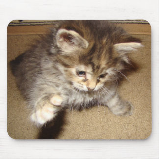 Kitty batting at the mouse pad