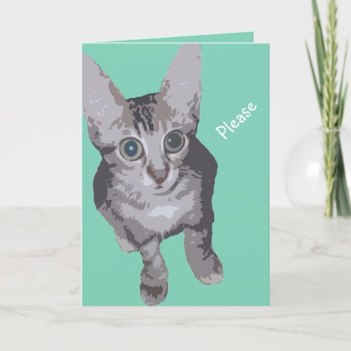 Kitty Big Eyes Get Well Card