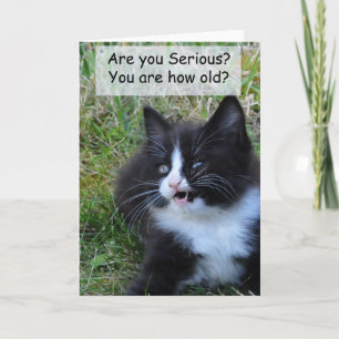 Kitty Birthday Card - Funny!!!